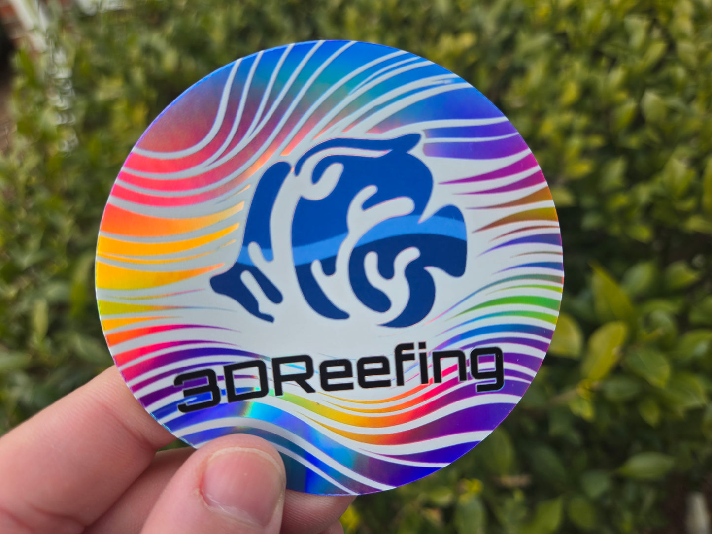 Holographic Stickers